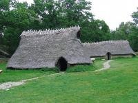 Rock Carvings in Tanum by john booth