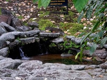 National archeological park of Guayabo de Turrialb by Esteban Cervantes Jiménez