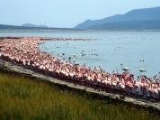 Kenya Lake System by Solivagant