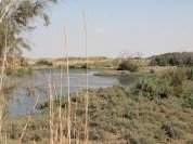 Azraq by Walter