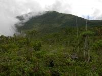 Mount Hamiguitan by Boj