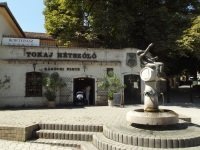 Tokaji Wine Region by john booth