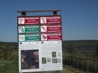 Srebarna Nature Reserve by john booth