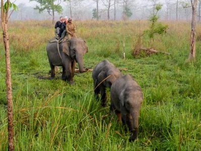 Manas Wildlife Sanctuary by Solivagant