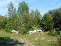 Prehistoric Pile Dwellings by Solivagant