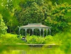 Singapore Botanic Gardens by Frederik Dawson
