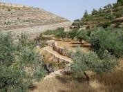 Battir by Walter
