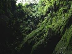 Mid-Atlantic Ridge by Walter
