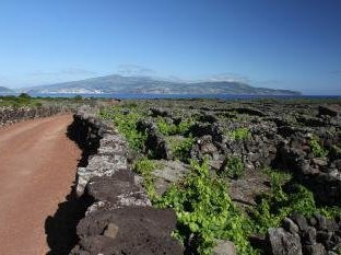 Pico Island by Walter