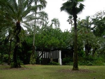 Singapore Botanic Gardens by Boj