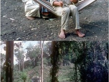 Region Lacan-Tún - Usumacinta by Solivagant