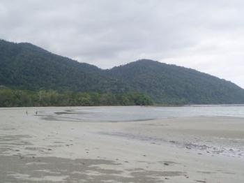 Wet Tropics of Queensland by Mirjam L.