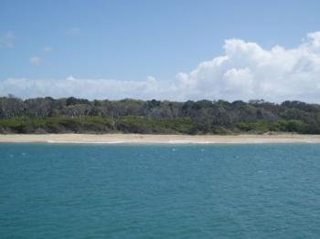 Fraser Island by Mirjam L.