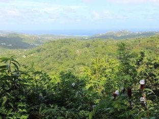 The Scotland District of Barbados by Philipp Peterer