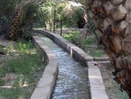 Al Ain by Jay T