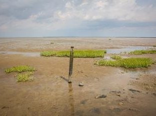 Wadden Sea by Michael Turtle