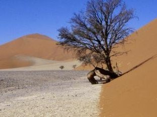 Namib Sand Sea by Walter