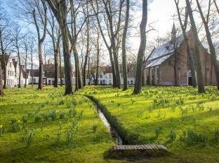 Flemish Béguinages by Michael Turtle