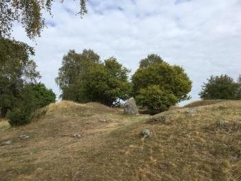 Birka and Hovgarden by Stanislaw Warwas