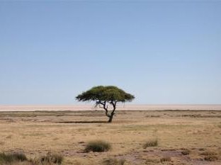 Etosha Pan by Kbecq