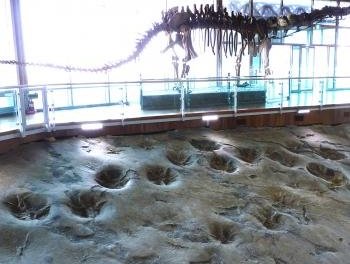 Sites of fossilized dinosaurs by Solivagant