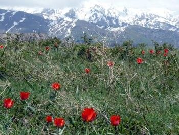 Western Tien-Shan by Solivagant