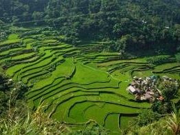Rice Terraces of the Philippine Cordilleras by Riccardo Quaranta