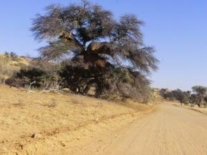 ǂKhomani Cultural Landscape by Walter