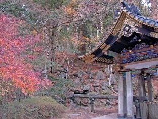 Nikko by Gary Arndt