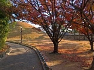 Gyeongju by Gary Arndt