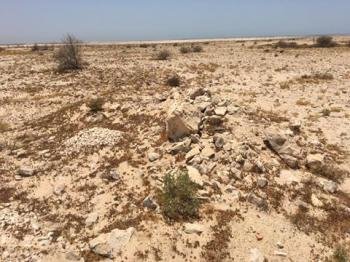 Al Zubarah by Stanislaw Warwas