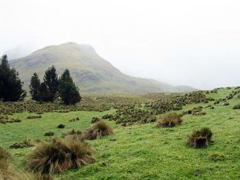 Sangay National Park by Jay T