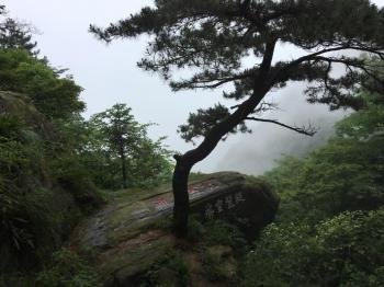 Lushan National Park by Stanislaw Warwas