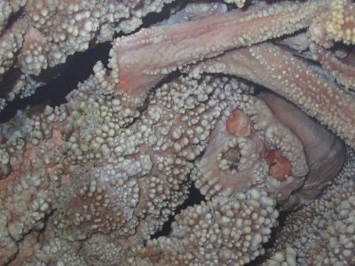 The Murge of Altamura by Tsunami