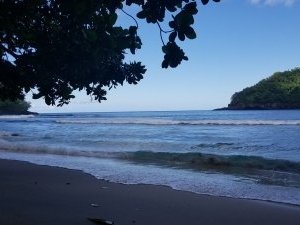 Marine Protected Areas of American Samoa by Zoë Sheng