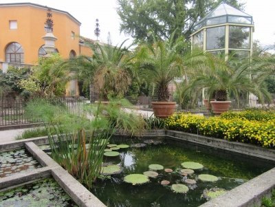 Botanical Garden, Padua by Jay T