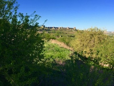 Diyarbakir Fortress and Hevsel Gardens by Stanislaw Warwas