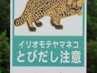 Amami-Oshima Island by Zoë Sheng