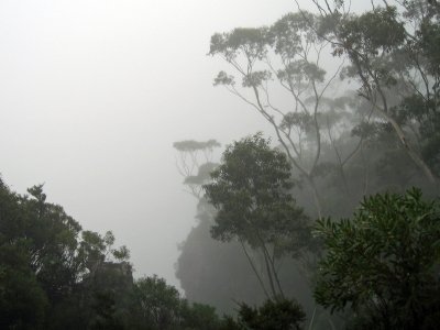 Greater Blue Mountains by Jay T