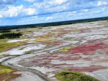 Wood Buffalo National Park by Randi Thomsen