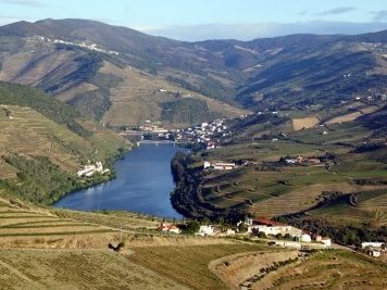Alto Douro by Hubert