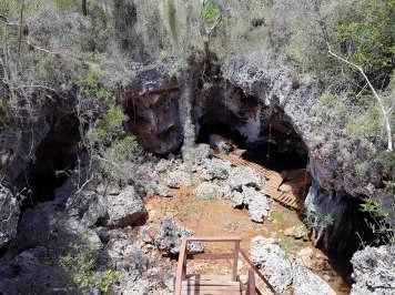 Desembarco del Granma National Park by Alexander Barabanov