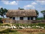 Danube Delta by Solivagant