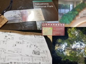 Yakushima by Zoë Sheng