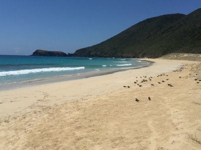 Lord Howe Island by Thomas Buechler