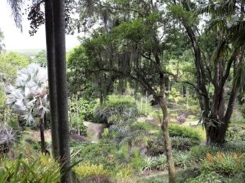 Sítio Roberto Burle Marx by Walter