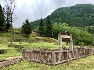 Tusi Sites by Stanislaw Warwas