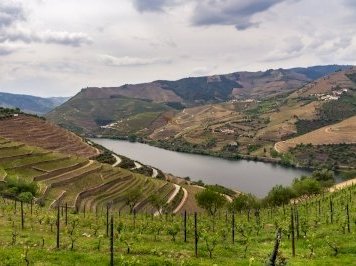 Alto Douro by Ilya Burlak