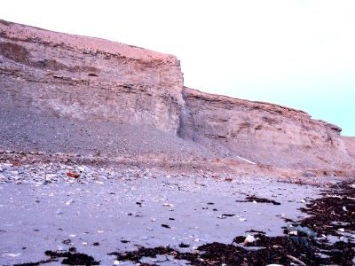 Anticosti by Michael Ayers