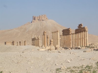 Palmyra by Squiffy